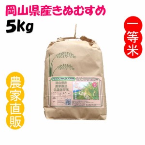 精米 きぬむすめ 令和5年産 農家直詰 お米 (5kg)