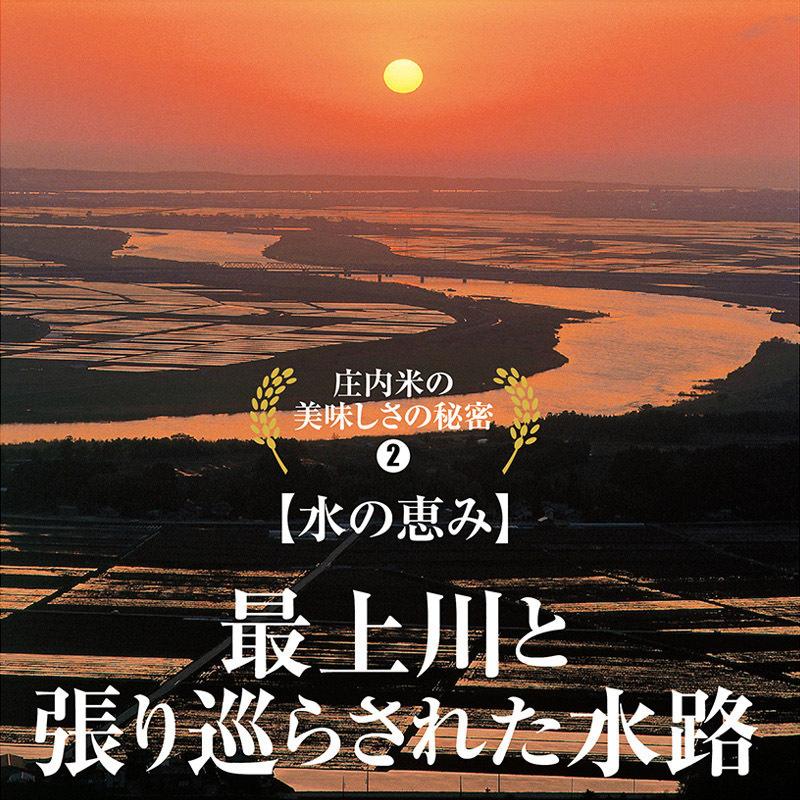 令和５年産 つや姫６kg（２kg×３袋）山形県の米どころ庄内平野で育った庄内米 送料無料