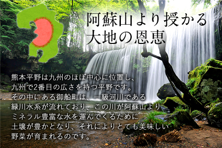 ★定期便 月1回 6ヶ月(計6回コース)★ 旬の新鮮野菜たっぷり16品セット★御船町産を中心とした旬の野菜セット 冷蔵 詰め合わせ 季節の野菜 安心・安全の野菜セット《お申込み月の翌月から出荷開始》