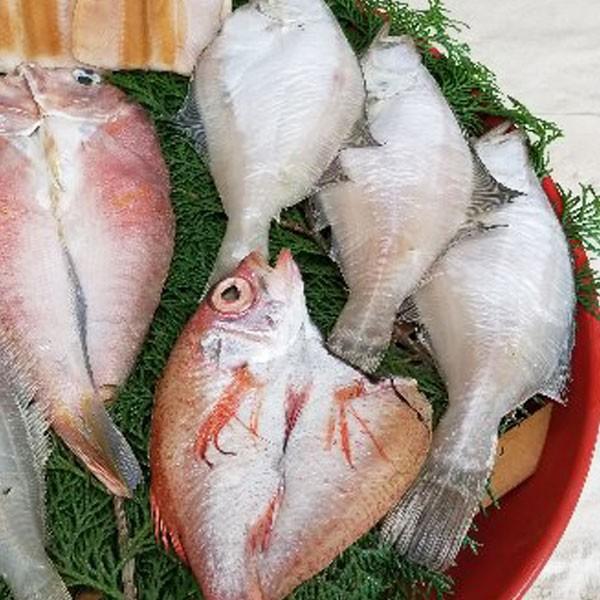 魚屋のきまぐれ干物便