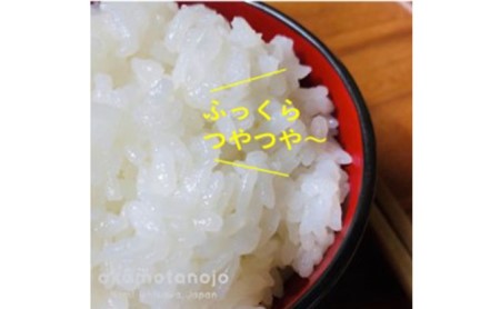 特別栽培米コシヒカリ4.5kg精白米