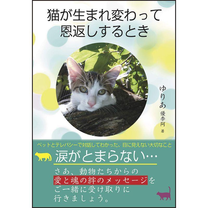 猫が生まれ変わって恩返しするとき