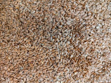 非寵Beak - 小寵營養補充 亞麻籽 飼料用 真空分裝包(當天下單當天分裝)