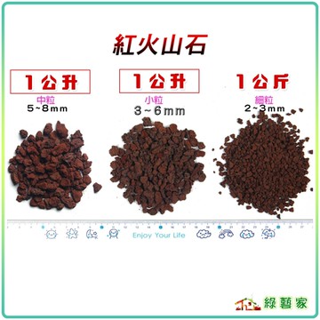 【綠藝家】紅火山石1公升、1公斤 // 介質 盆栽裝飾 土壤介質 火山石