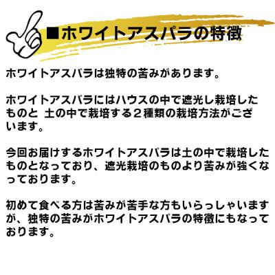 ふるさと納税 富良野市 2024年発送　北海道富良野産 ホワイトアスパラ S〜Lサイズ混合 2kg