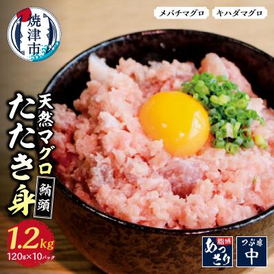 ふるさと納税 焼津市 焼津 天然 鮪 ネギトロ セット 合計 約1.2Kg(a10-100)