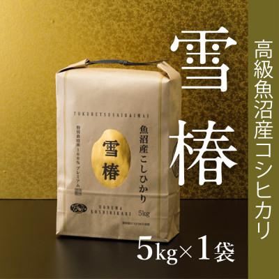 ふるさと納税 津南町 高級魚沼産コシヒカリ「雪椿」精米5kg(5kg×1袋)　特別栽培米