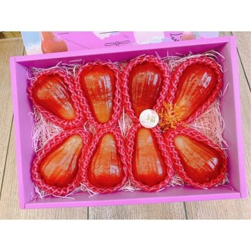 蓮霧界《LV等級》夢幻逸品 黑糖芭比蓮霧｜夏季水果禮盒