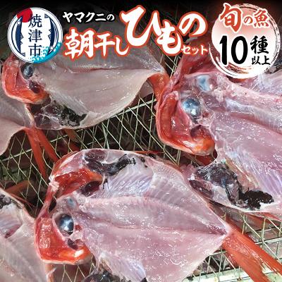 ふるさと納税 焼津市 朝干しひものセット10種以上!(a30-176)