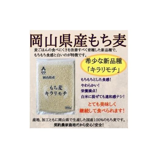 ふるさと納税 岡山県 玉野市 もち麦 キラリモチ 950g×5袋 岡山県 玉野市産