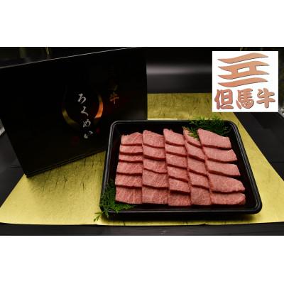 ふるさと納税 養父市 但馬牛焼肉セット 500g