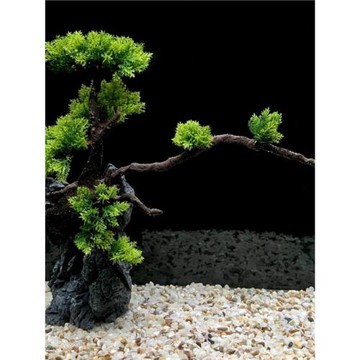 水族箱造景套餐假山水草組合后景大款仿真沉木迎客松魚缸裝飾擺件