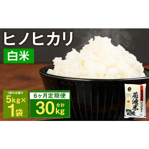 ふるさと納税 熊本県 菊池市 熊本県菊池産 ヒノヒカリ 5kg×6回 計30kg 精米 お米 白米