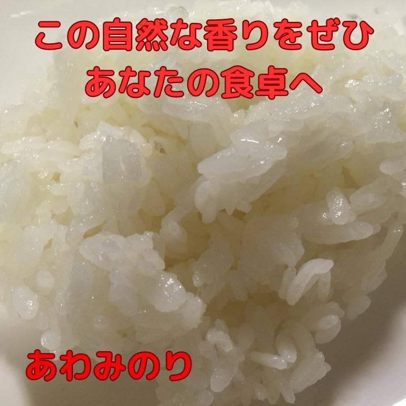 特別栽培米 あわみのり 四国徳島県産100％ おいしいお米 白米10kg （農家直送）令和5年産 新米