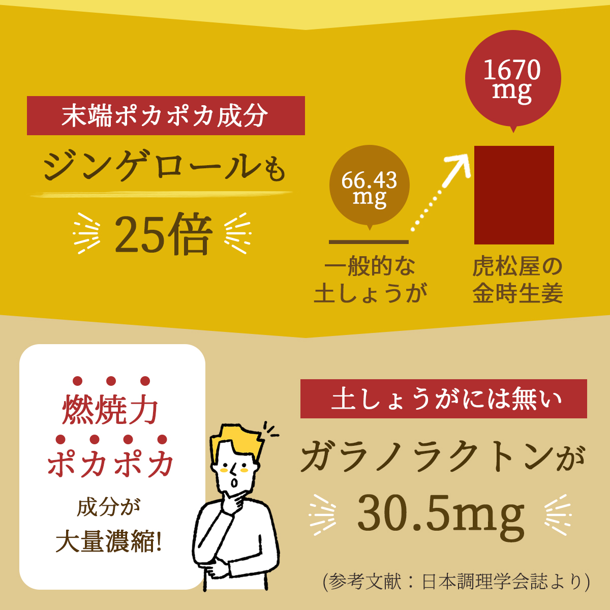 金時しょうが 粒タイプ 120粒 無添加・無農薬栽培された純粋な金時ショウガを使用！