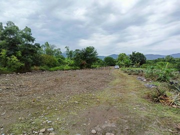 【專】 東華大學旁｜都市計劃內農地B1045｜花蓮縣壽豐鄉吳全