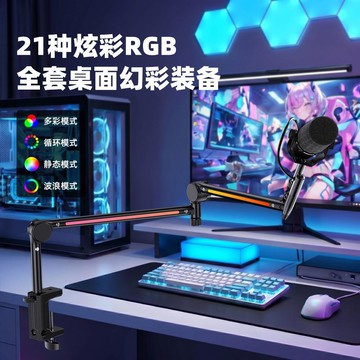 🔥台灣出貨🔥新款🔥麥克風話筒語音支架懶人直播聲卡專用錄音線纜隱藏懸臂支架桌面