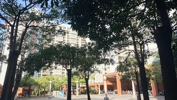 大林｜輕鬆成家三房平車｜食衣住行都行｜台南市南區大同路二段