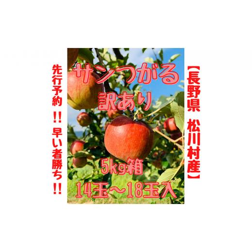 ふるさと納税 長野県 松川村 2024年産 訳あり サンつがる 約5kg 14〜18玉