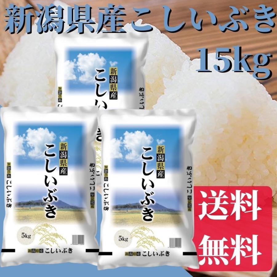 新米 令和5年 15kg 送料無料 新潟県産こしいぶき 15kg（5kg×3） 送料無料 米 お米 白米 新潟から産直販売