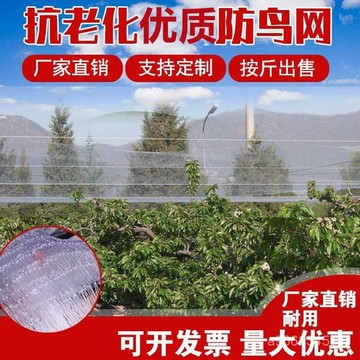 🔥臺灣出貨🔥果園防鳥網葡萄大棚保護網家用果樹網防鳥用的魚塘養殖網hhfoof