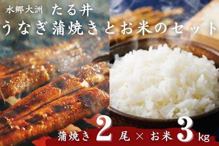 水郷大洲たる井の「国産うなぎ蒲焼き2尾」と大洲産のお米