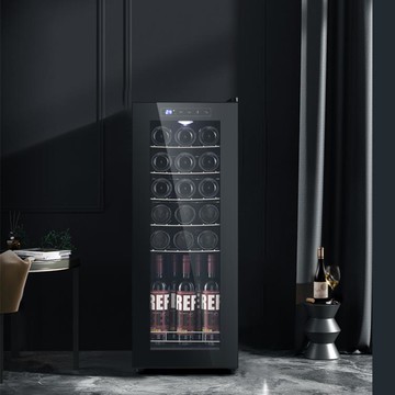 紅酒柜恒溫保濕酒柜迷你小型家用茶葉雪茄存儲壓縮機冷藏柜 99購物節