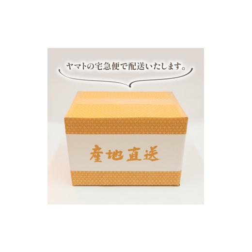 ふるさと納税 滋賀県 竜王町 令和5年産 日本晴 10kg 全12回 近江米 新米 米粉 200g付