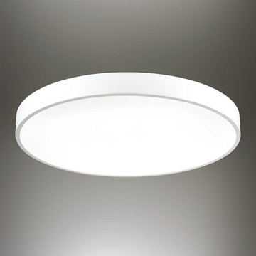 45W三色變光吸頂燈 F85-09-K3555