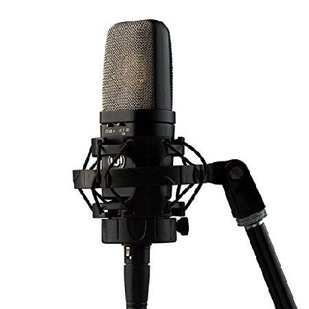 Warm Audio WA-14 Condenser Microphone(並行輸入品)