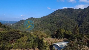 專任 竹東燥樹排買地送景觀美屋｜新竹縣竹東鎮燥樹排