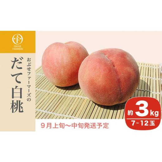 ふるさと納税 長野県 小布施町 だて白桃 約3kg 7〜12玉 ［おぶせファーマーズ］桃 もも モモ 白桃 フルーツ 果物 冷蔵便 クール便 長野県産 信州産 令和6年産…