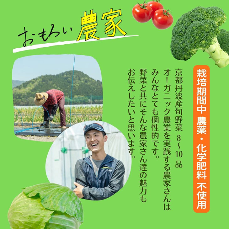 ＜３６９商店＞京都丹波産旬の野菜セット ※全て栽培期間中農薬・化学肥料不使用※