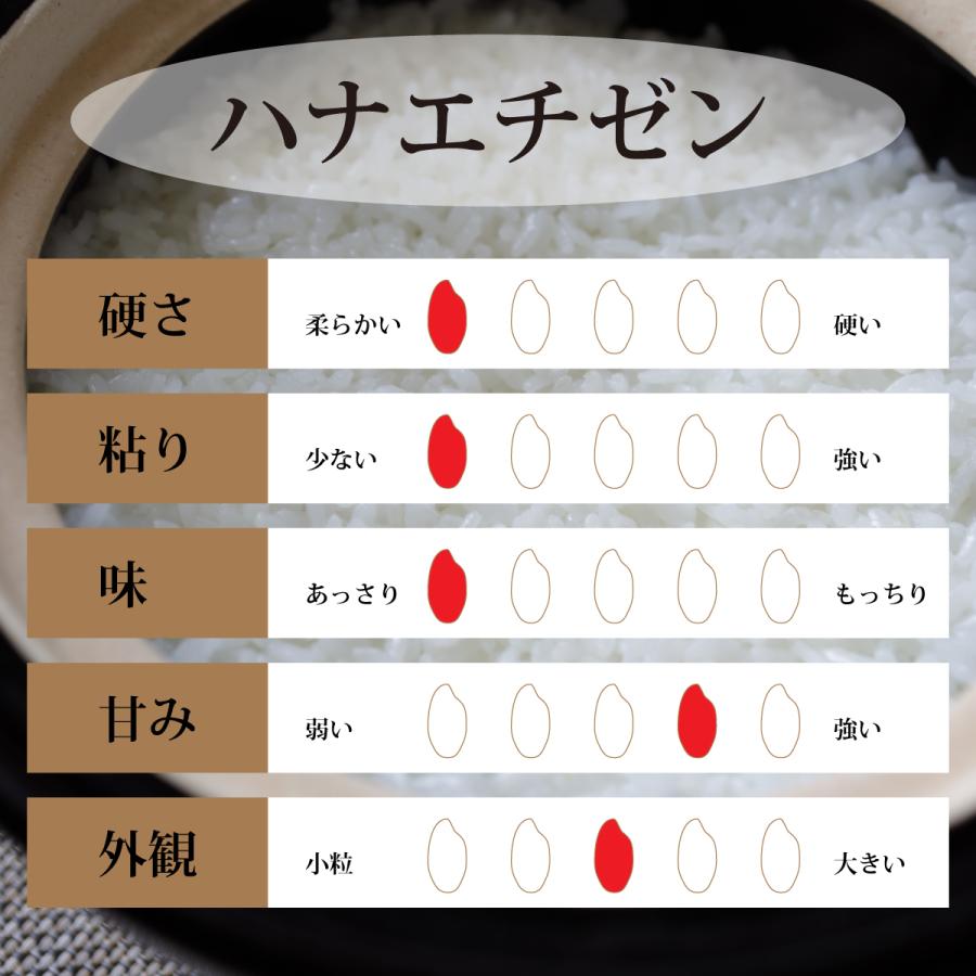 玄米 ハナエチゼン 5kg 石川県産 3分 5分 7分 選択可 5キロ 令和5年産 新米