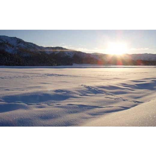 ふるさと納税 新潟県 南魚沼市 雪室貯蔵・塩沢産コシヒカリ　生産者限定