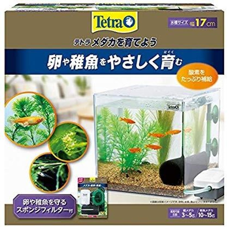 めだか水槽 (萩物語めだかスリム450Low) - 熱帯魚、アクアリウム用品