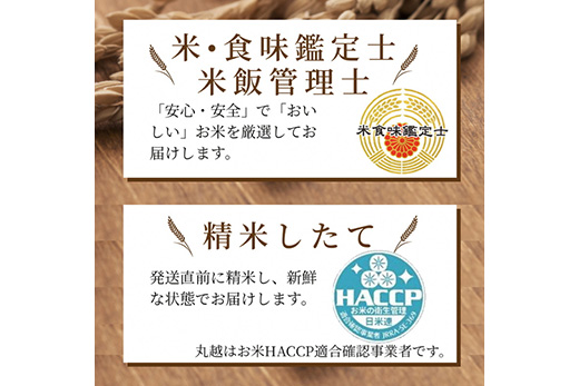 訳あり京都丹波産 きぬひかり 10kg(5kg×2)×3ヶ月 計30kg ※米食味鑑定士厳選 ※精米したてをお届け《コロナ支援 緊急支援 米 令和5年産 新米》 ※北海道・沖縄・離島への配送不可