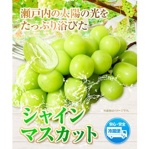 ふるさと納税 シャインマスカット 1房 700g ウィズフラワーホールディングス《9月上旬-10月中旬頃出荷》岡山県 浅口市 ぶどう マスカット フルー.. 岡山県浅口市