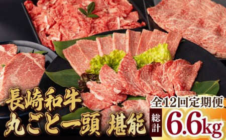 長崎和牛丸ごと一頭 堪能！ 総計6.2kg以上 サーロイン モモ イチボ シャトーブリアン 焼肉 ステーキ 長崎和牛 希少部位 [WF15]