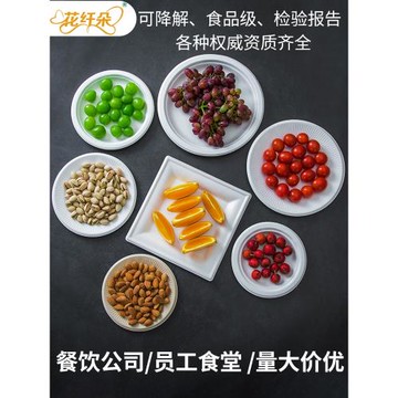 一次性加厚紙盤子環保餐盤野餐燒烤盤蛋糕紙碟子畫畫手工紙盤整箱