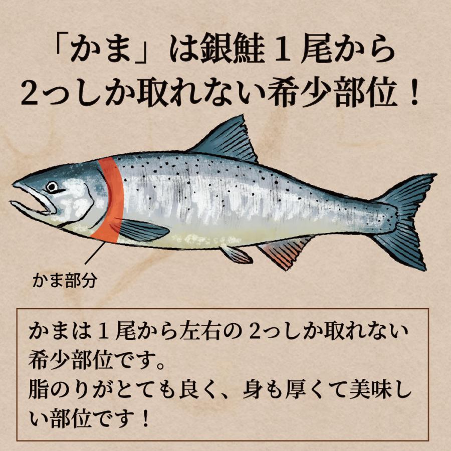 トラウトサーモンかま甘塩 チリ産 鮭 鮭かま 鮭カマ カマ 切り身 お弁当や鍋にオススメ お取り寄せ まとめ買い