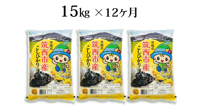 茨城県筑西市産 コシヒカリ15kg 米 コメ コシヒカリ こしひかり 茨城県 単一米 精米 [CH018ci]