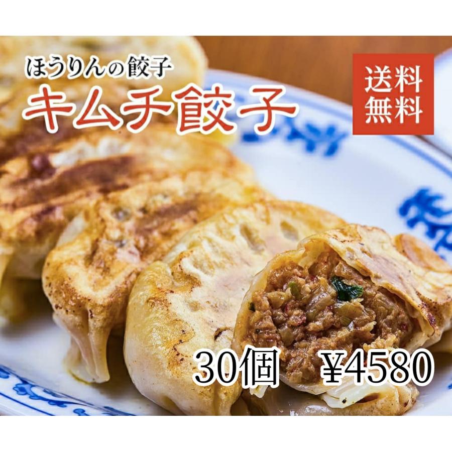 チーズ揚げ餃子　30個　送料無料