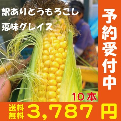 トウモロコシ 白い とうもろこし クリスピーホワイト 山梨県産 2kg以上