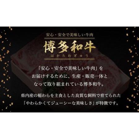 ふるさと納税 大川市おすすめ！お肉の定期便！博多和牛サーロインステーキ180ｇ×3枚（3回お届けコース） 福岡県大川市