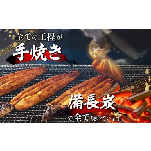 ふるさと納税 宮崎県 宮崎市 宮崎県産 備長炭蒲焼 うなぎ蒲焼 4尾 セット 合計600g以上_M159-003