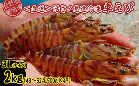 活き〆急速冷凍車えび　3Lサイズ　約2kg（48～52尾 500g×4P）