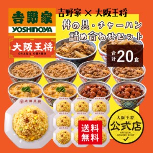 吉野家×大阪王将 丼の具＆チャーハン詰め合わせセット（合計20食） 冷凍食品 炒飯 惣菜 お弁当 リモート テレワーク ギフト