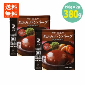 煮込みハンバーグ デミグラスソース 190g×2袋 開花亭 送料無料 ハンバーグ レトルト デミグラス ハンバーグ レンジ