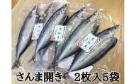 熊野の老舗干物屋　畑辰商店×5袋